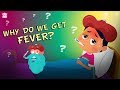 Why Do We Get a Fever? | The Dr. Binocs Show | Best Learning Videos For Kids | Peekaboo Kidz