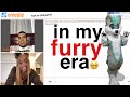 i went on omegle in a furry costume.