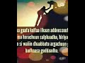 Wallalo Hiriyya Soba Maada Hiriyya Soba Nama Maadese Osoo Onee Irra Jalatin Yomu Nama Hin Fayyu
