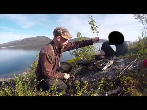 jakten på att bli norrlänning