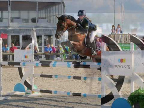 Konquistador Van Orchid's: BRp gekeurde GP hengst