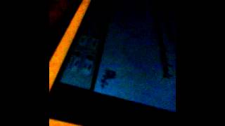 Spring chicken recorded