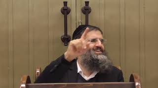 הרב אופיר טנג'י - נק' בפרשה - פרשת בא - יסוד התורה כולה !! אמונה !!! הכל מהשם ומשגח לטובה !!! א'