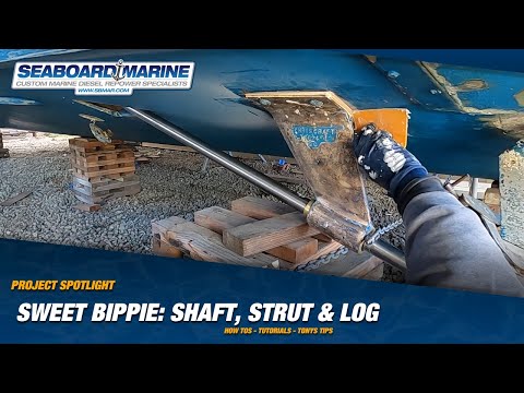 Sweet Bippie: Shaft, Strut and Log