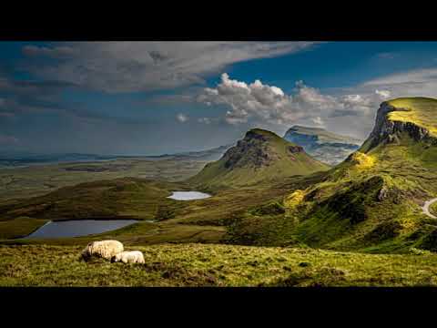 Ricardo Reis "Placide, maestro, sono tutte le ore"