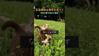#株式 #日本株 #株式投資 #投資初心者 #資産運用 #高配当株 #成長株 #デイトレード #高配当株 #新NISA #日経平均