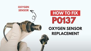Oxygen Sensor Replacement : P0137 Engine Trouble Code Guide