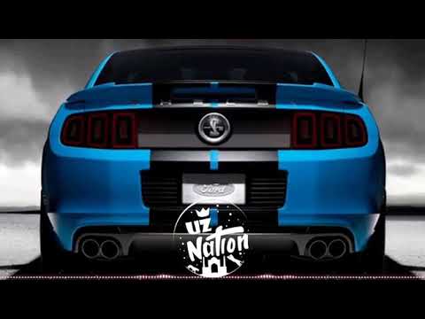 2019 azeri bass pumbalabum