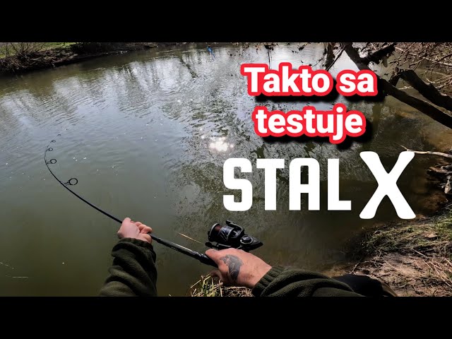 Stalx_Solnica