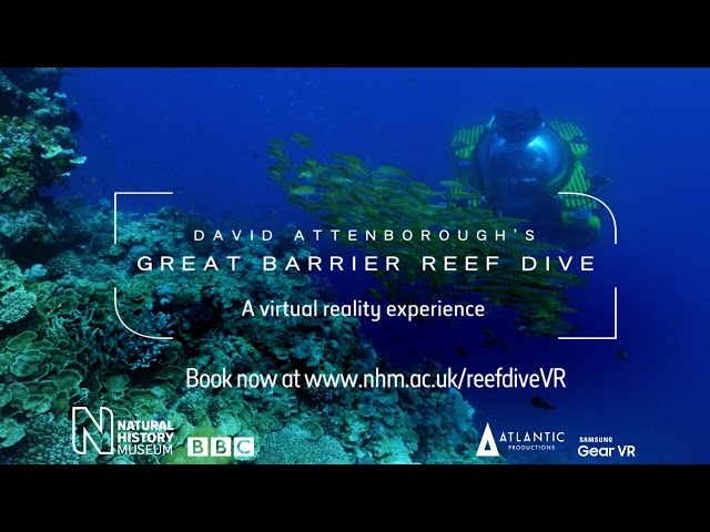 David Attenborough's Great Barrier Reef Dive | Natural History Museum