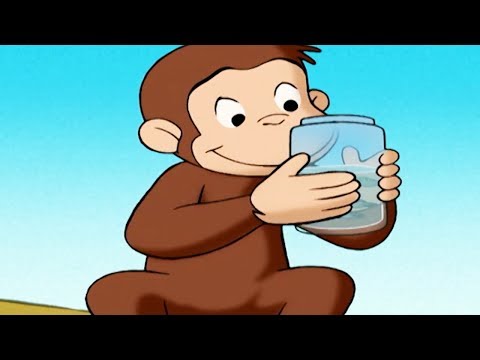 Peter Pedal 🐵Sagen om de forsvundne haletudser 🐵Sæson 1 Fuld Episode  🐵Børn Film