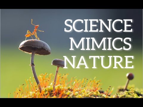 #ScienceMimicsNature - #jamwith - Preetha