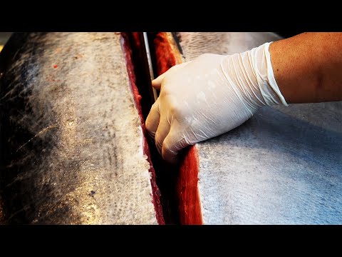 Giant Tuna Cutting Show Sashimi / Korean street food/ 거대한 참치 해체쇼 참치회