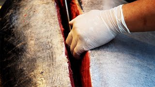 Giant Tuna Cutting Show Sashimi / Korean street food/ 거대한 참치 해체쇼 참치회