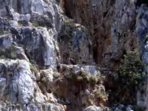 Tatiana Stepa- Pietre