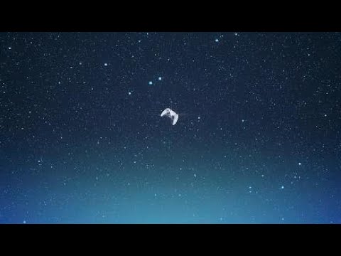 Xiao (C6/R5) Burst Damage Showcase - 260K