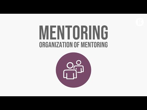What is a Mentor