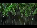 Light Rain in the Woods 🌳 🌧🌲 Relaxing Rainstorm White Noise for Sleep