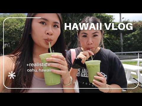 Vinelink Hawaii