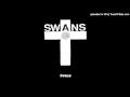 Swans  -  Amnesia