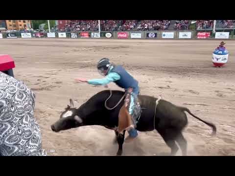 August's Bull Rides Analyzed