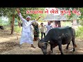 કડવાભા ને હોશીયારી પડી ભારે l Vaghubha Na Video l Kadvabha Ni Comedy