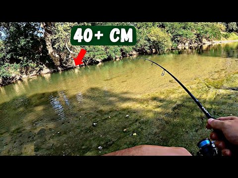 Am prins CLEAN MARE pe IALOMITA (Explorare partea 2)