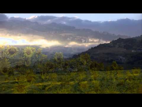 Auditore e Casinina HD