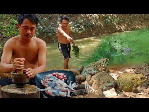 Jungle cooking survival: Catch big frogs by hands - Cook frogs with pound laksa leaf & holy basil