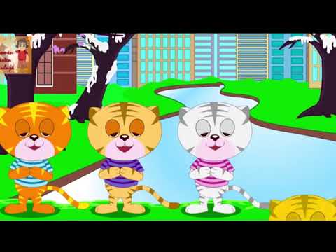 Sofia - 4 kassipoega