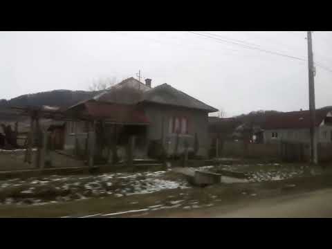 *** RUS. SĂLAJ 13 Martie 2018 Spre Valea Arinului .