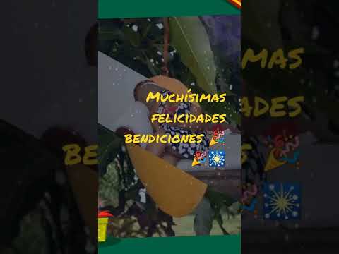 Yanez y Yanelis feliz cumpleaños!!