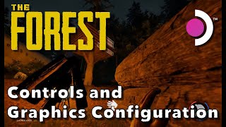 Steam Deck: The Forest - Custom Controls and Full Graphic Configuration for 40fps/40hz