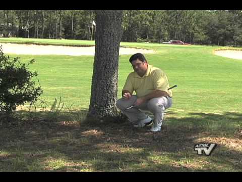 Tee-Time Rules: The Unplayable Ball