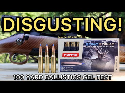308 Winchester Norma Bondstrike Ballistics Gel Ammo Test