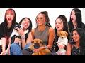 KATSEYE The Puppy Interview