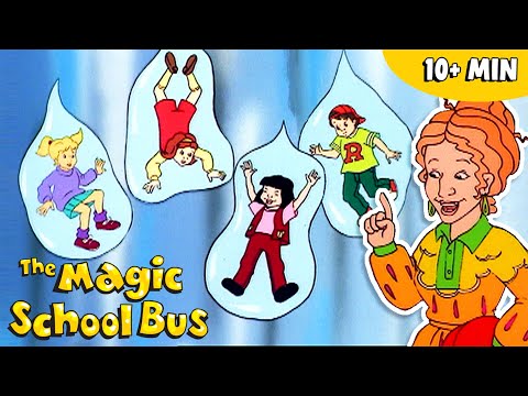 Weather & the Water Cycle | Science for Kids | The Magic School Bus