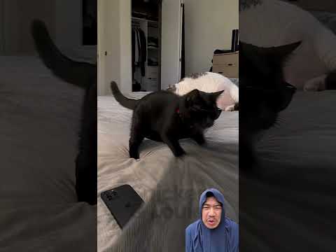 @snickerlouie Lobang apaan nih semua nya ketarik? #dubbing #shorts #shortvideo #funny
