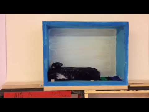 Rum i hus Östergårdsskolan 4a