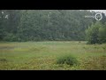 De Schatkist van Gelderland 27 juli 2020 - Bijzondere wateraardbei op Hagen
