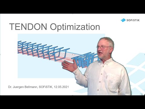 Tendon Optimization for Bridges in SOFiSTiK