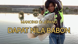 Download lagu Mancing di jepang dapat Ikan Nila Babon || Mancing Mania mp3