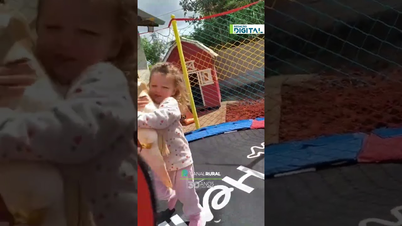 Mãe procura filha de 3 anos e encontra “reunião” de bichinhos na cama elástica