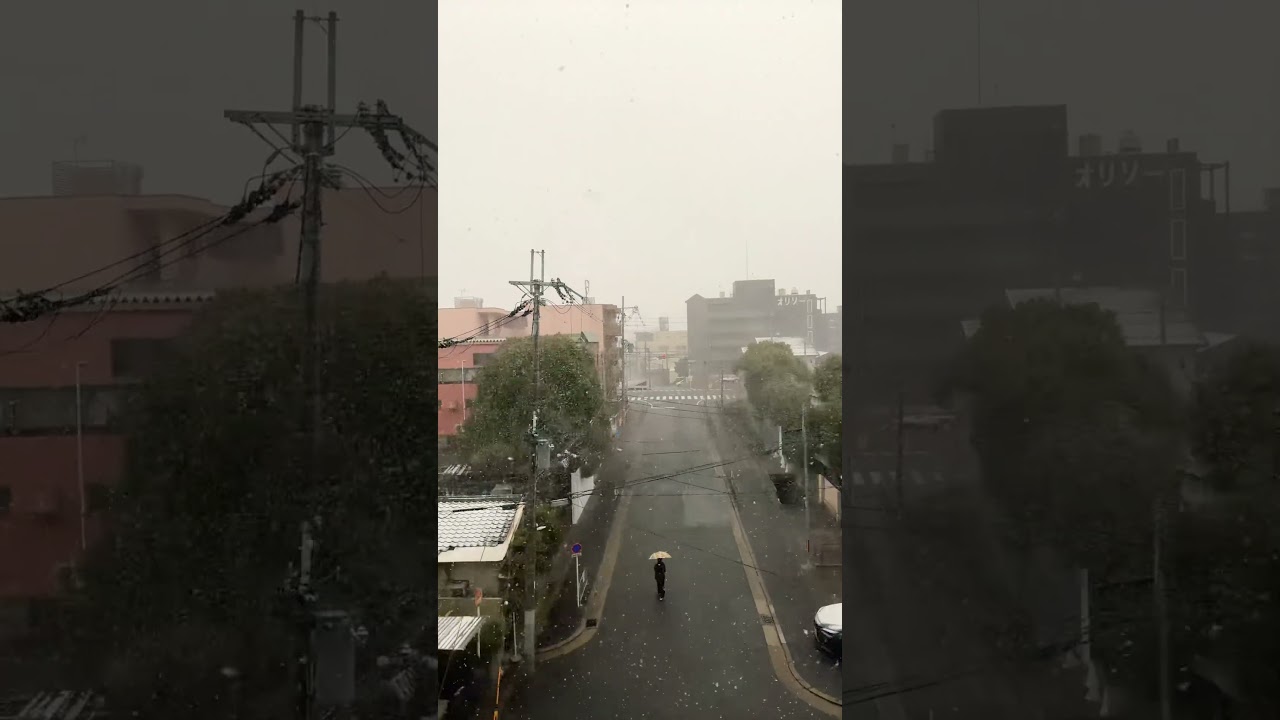 หิมะตกหนักเลยวันนี้8/2/2026#เกียวโต