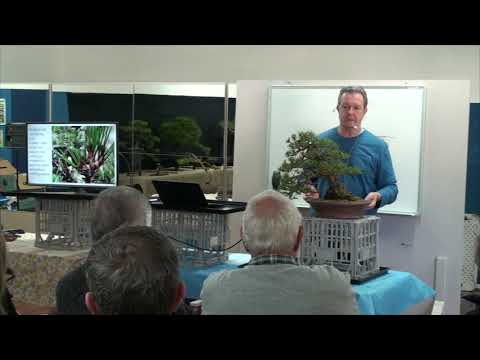 John Eastment Pine Demonstration Part 2  6 6 2021