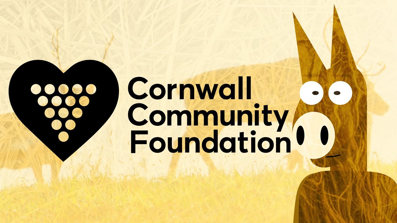Our Thanks to the Cornwall Community Foundation | Battling On
