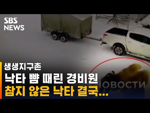 아이콘