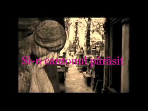 Vară buimacă (In memoriam Fănuş Neagu)