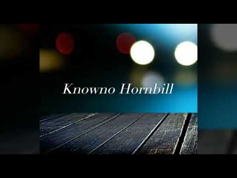 Knowno -Never Be Replaced (Lyrics Video)