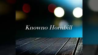 Knowno -Never Be Replaced (Lyrics Video)